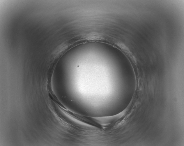 X0000066970201200603311458