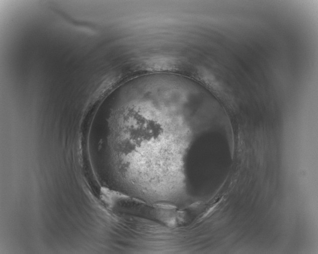 X0000066970202200603311458