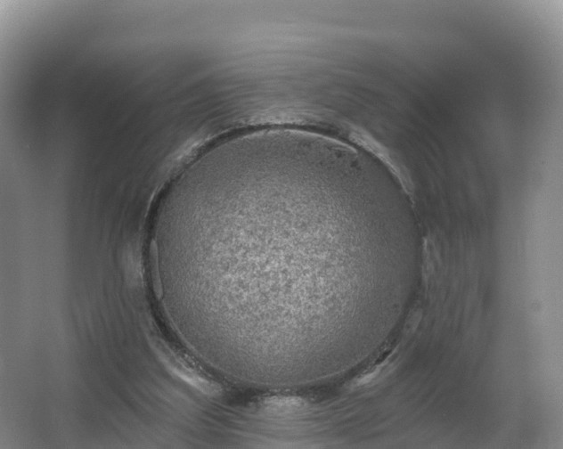 X0000066970203200603311458