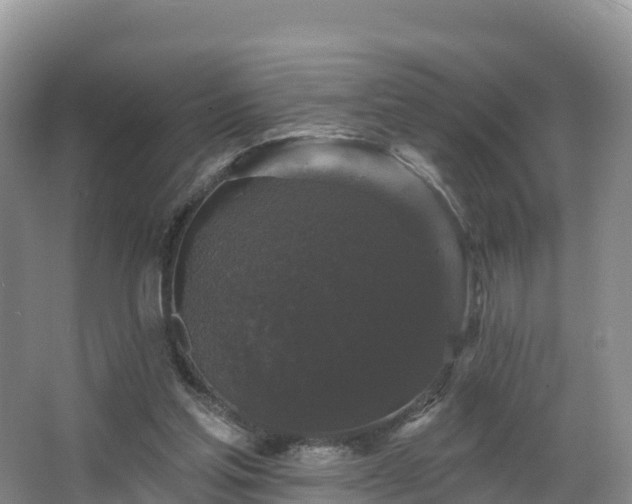 X0000066970205200603311458