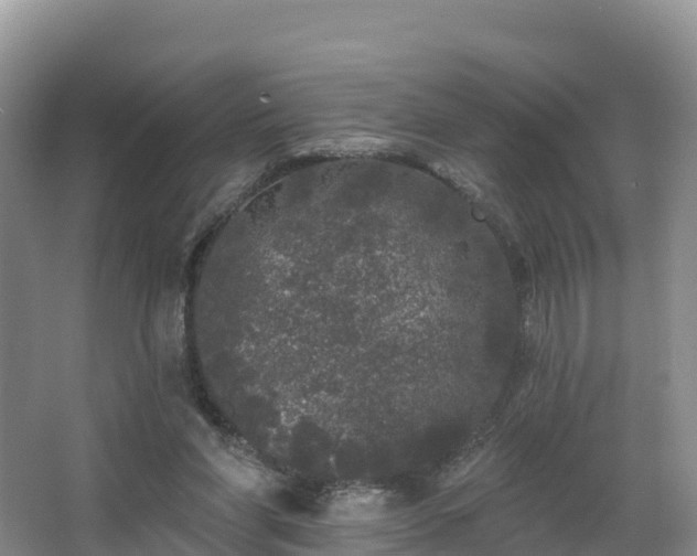 X0000066970206200603311458