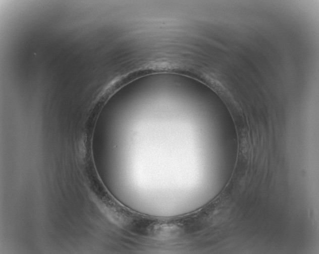 X0000066970208200603311457