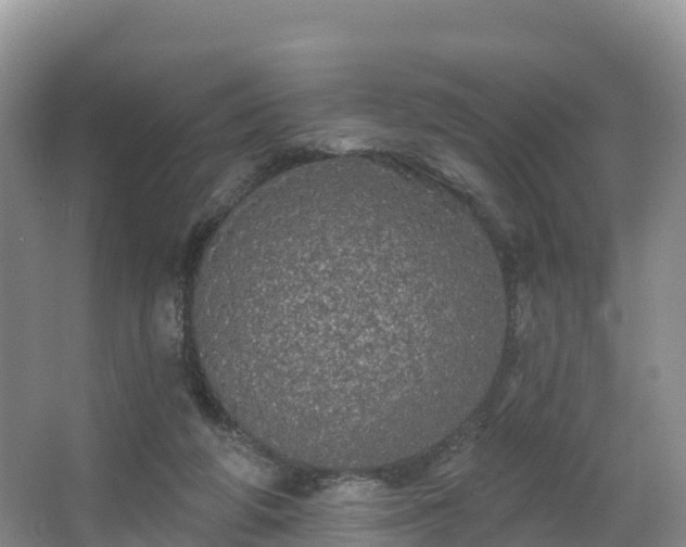 X0000066970210200603311457