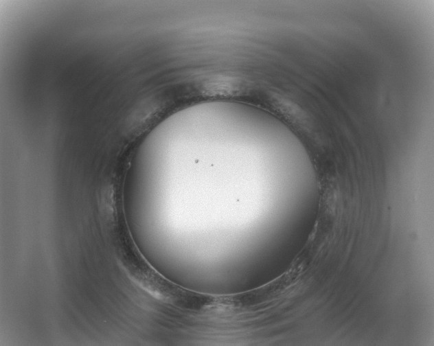 X0000066970211200603311457