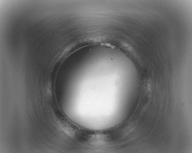 X0000066970212200603311457