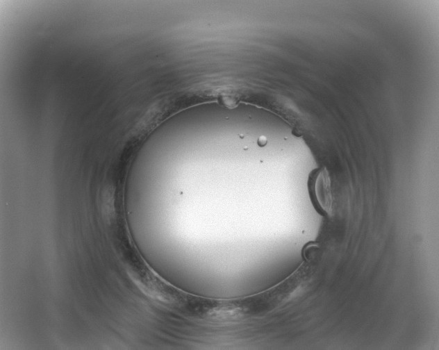 X0000066970213200603311457