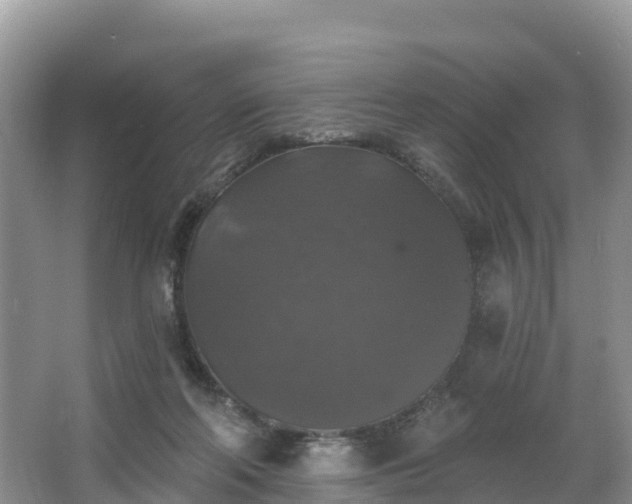 X0000066970214200603311457