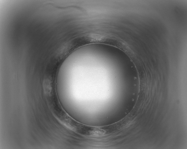 X0000066970215200603311457