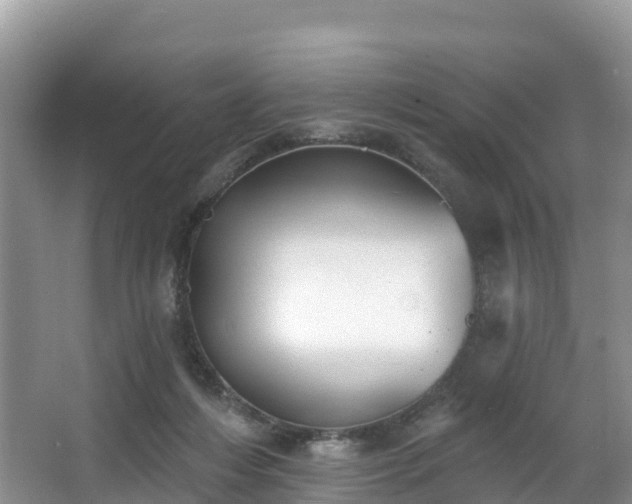 X0000066970216200603311457