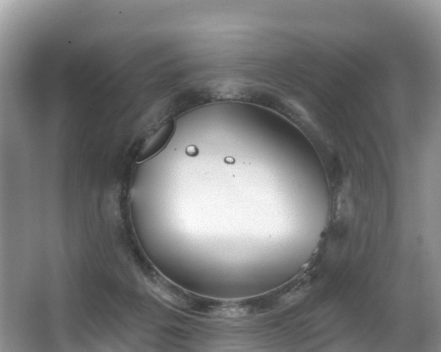 X0000066970217200603311457