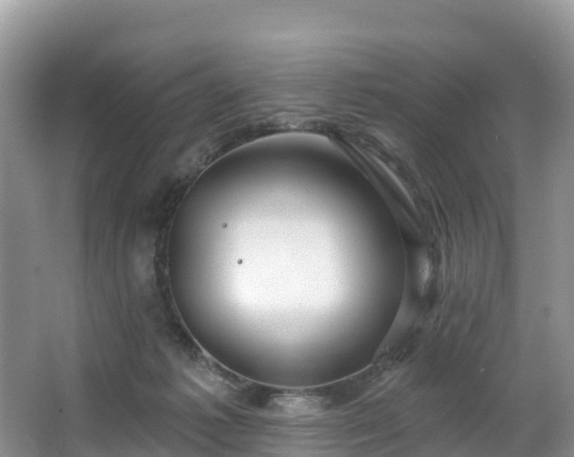 X0000066970221200603311457