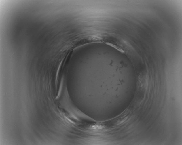 X0000066970223200603311457