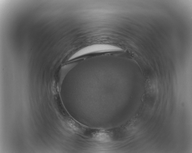 X0000066970224200603311457