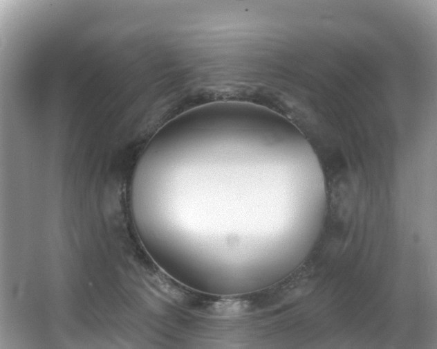 X0000066970225200603311457