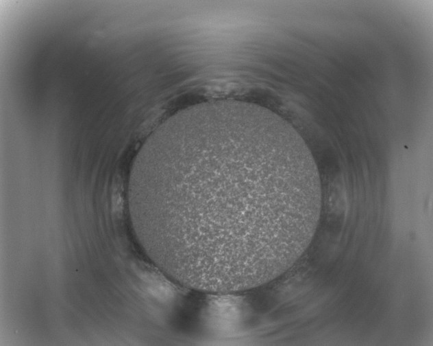 X0000066970226200603311457