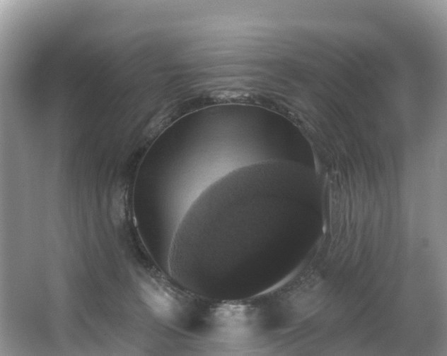 X0000066970227200603311457