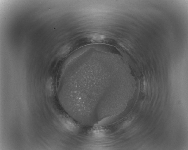 X0000066970228200603311457