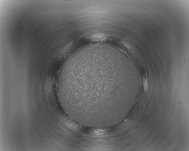 X0000066970229200603311457