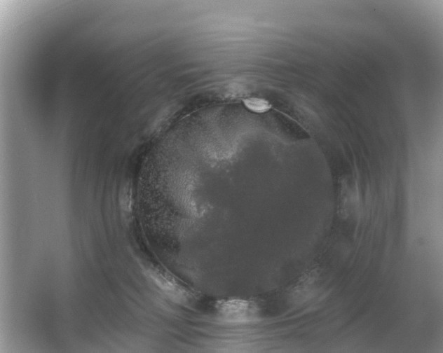 X0000066970230200603311457