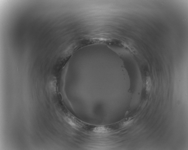 X0000066970231200603311457