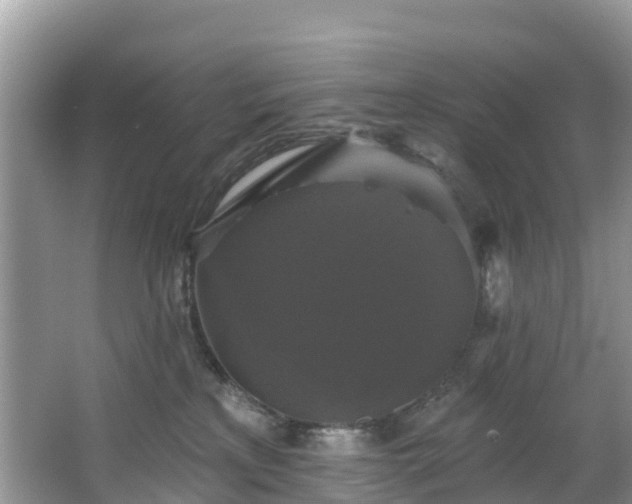 X0000066970233200603311457