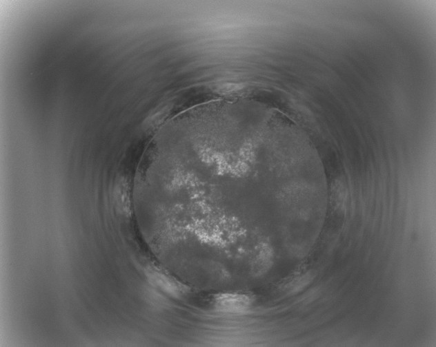 X0000066970234200603311457