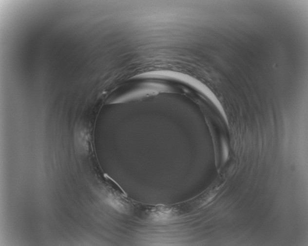 X0000066970235200603311457