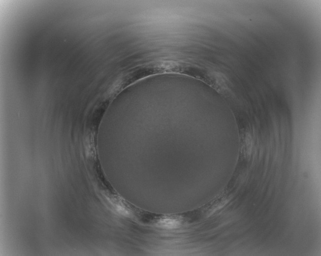 X0000066970236200603311457