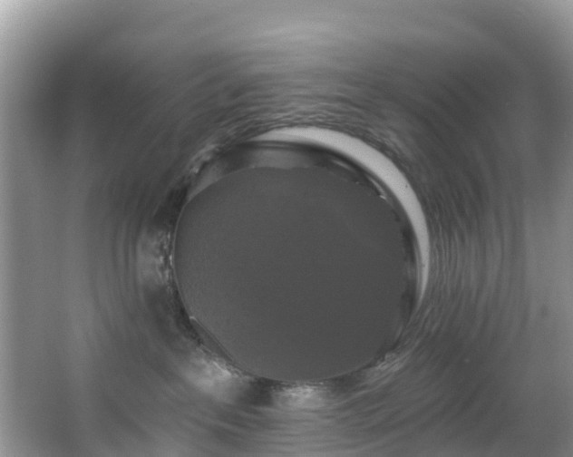 X0000066970237200603311457