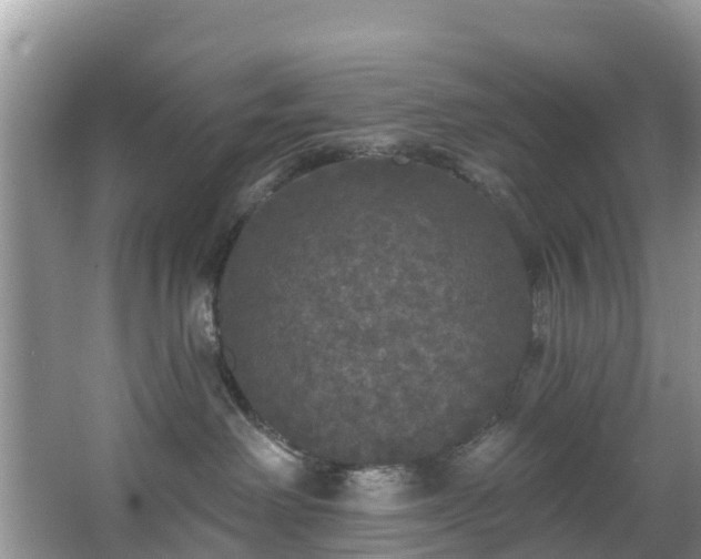 X0000066970238200603311457