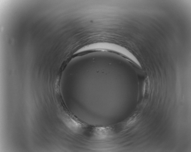 X0000066970239200603311457