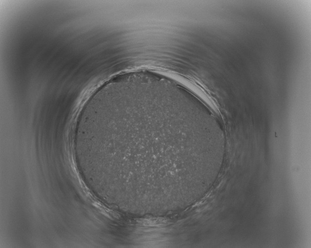 X0000066970241200603311456