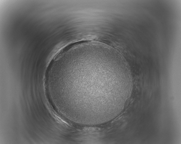 X0000066970242200603311456