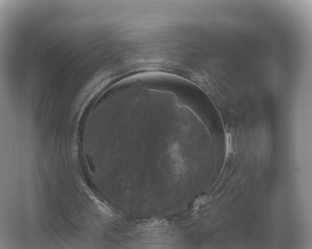 X0000066970243200603311456