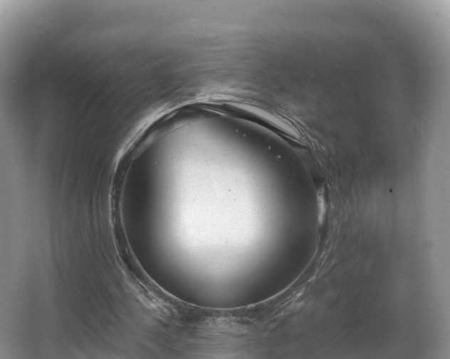 X0000066970244200603311456