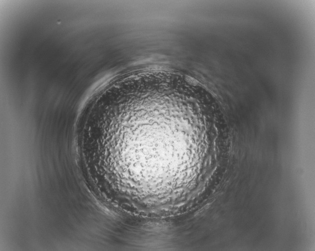 X0000066970245200603311456