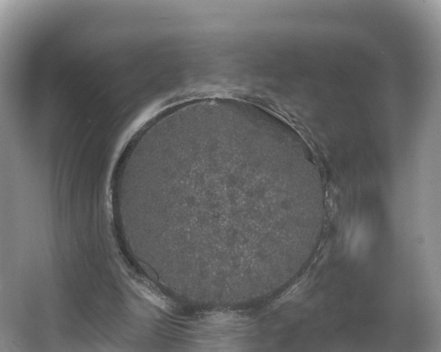 X0000066970246200603311456