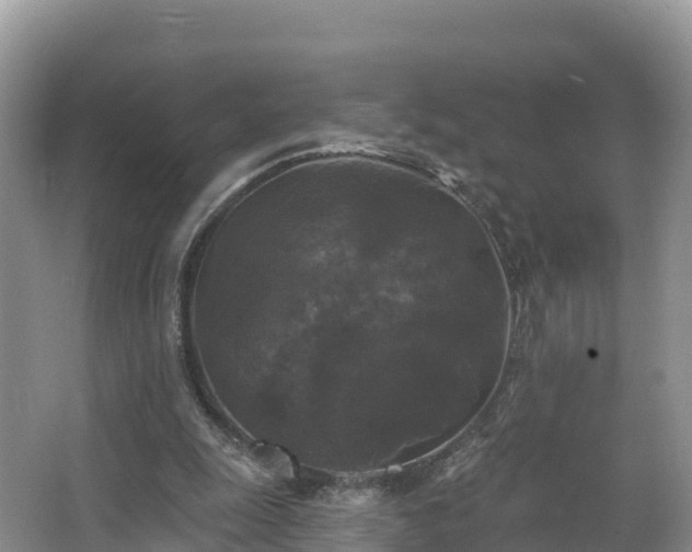 X0000066970247200603311456