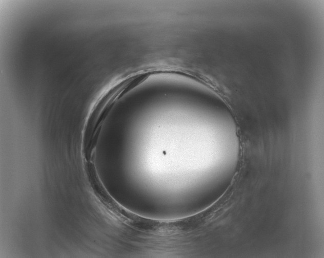 X0000066970248200603311456