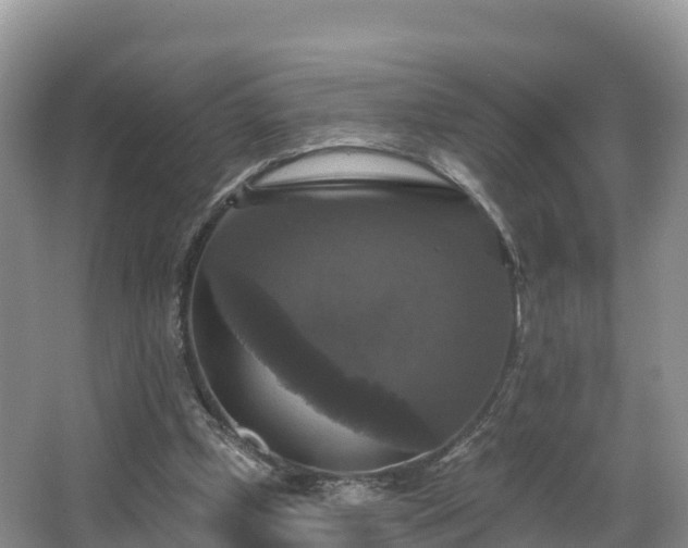 X0000066970249200603311456