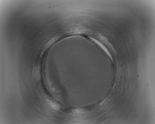 X0000066970250200603311456