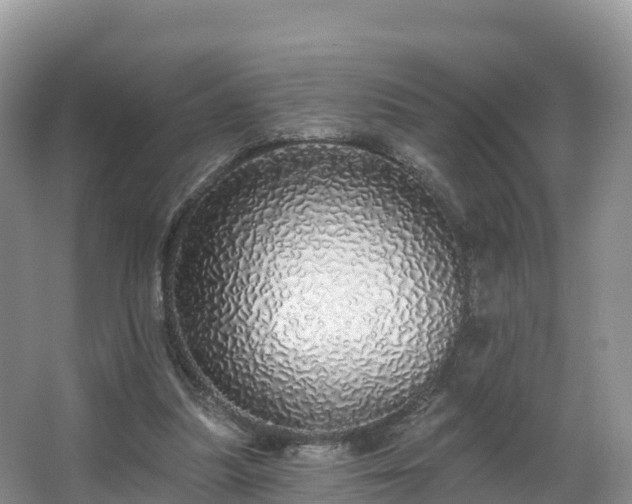 X0000066970251200603311456