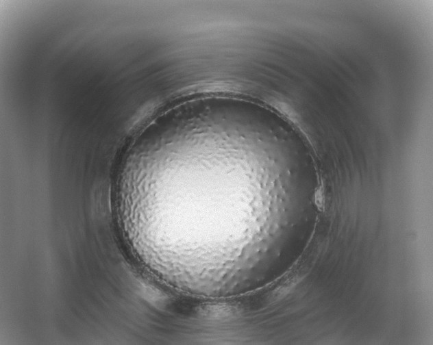 X0000066970253200603311456