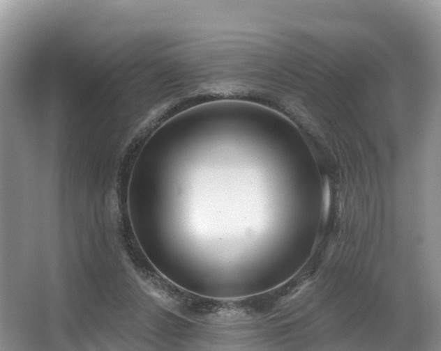 X0000066970256200603311456