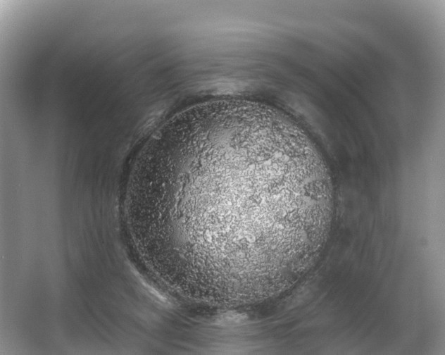 X0000066970257200603311456