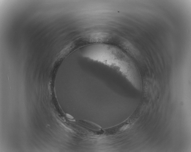 X0000066970258200603311456