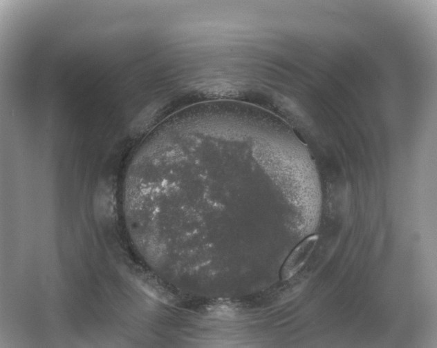 X0000066970259200603311456