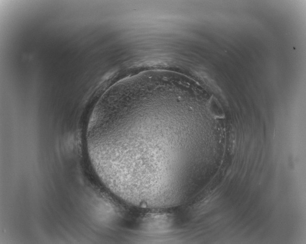 X0000066970260200603311456