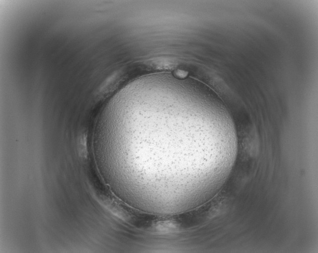 X0000066970262200603311456