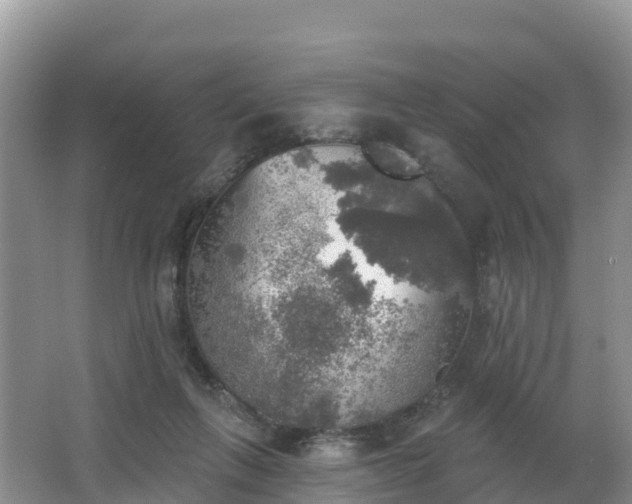 X0000066970263200603311457